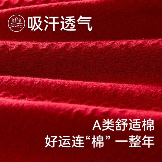 Modal Zodiac Year Horse Year Children's Underwear Girls Red Cotton Cotton Class A Briefs Little Girls 12 Years Old Shorts 5 Pairs - Lucky New Year Class A Jacquard Cotton + 100% Cotton Extended Crotch 130 XL Size 80-110 Jin Jin is equal to 0.5 kg