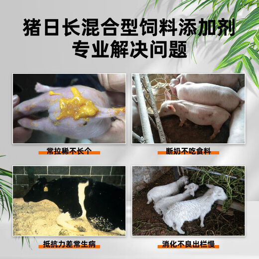 Pig day long pig fattening pig feed additives for fattening piglets piglet fattening agent pig premix buy 50 get 15 shots 65 bags