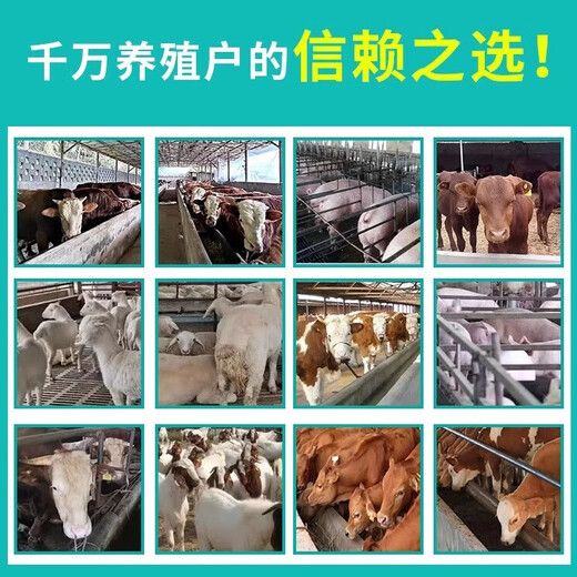 Maxing Shigan granules for veterinary use Eucommia leaf crude extract for pigs, pregnant animals, cattle, sheep and poultry feed additives 1000g/bag Maxing Shigan granules 1 bag