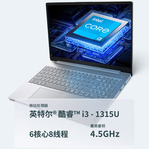 ThinkPad联想ThinkBook14+锐龙版2025补贴20%轻薄本高性能可选V15/小新办公商务学生游戏设计师笔记本电脑 酷睿1315U 16G 512G固态 定制 联想V15 询单领暗券 IPS高屏占比 疾速快充
