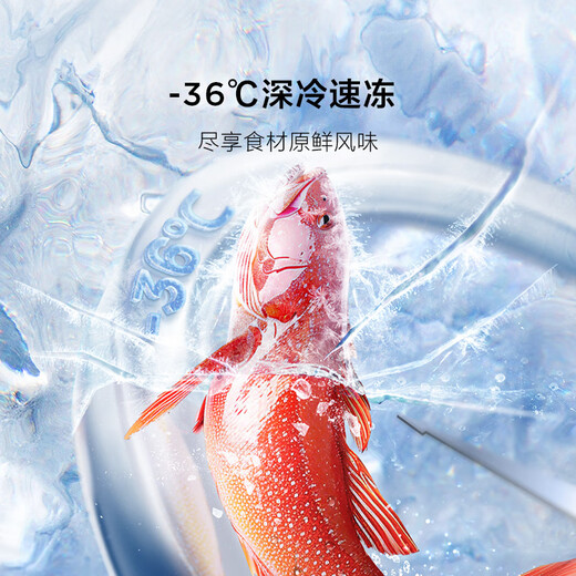 TCL Xiaoqingning 539L French multi-door refrigerator dual system dual purification large capacity first-class energy efficiency household refrigerator first-class energy efficiency air-cooled R539V7-DS national subsidy