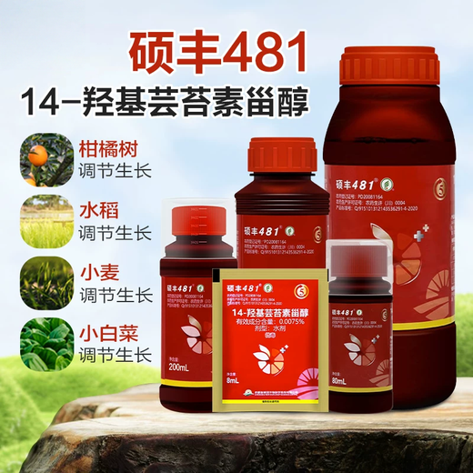 14 Hydroxybrassinolide Sterol Shuofeng 481 Fruit and Vegetable Antidote for Flower and Fruit Plant Growth Regulator 200ml