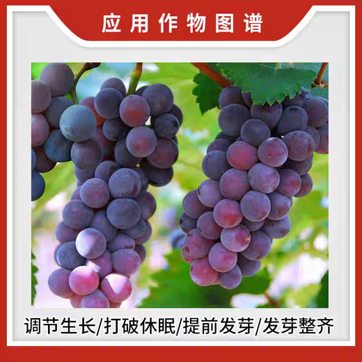 Rongya 50% cyanamide grape nectarine and kiwi fruit germination accelerator sleep-promoting bud growth regulator cyanamide 250ml