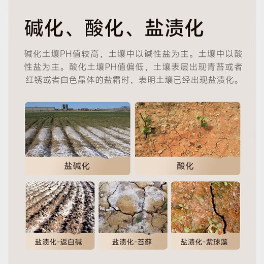 Wangtianwang soybean fermentation 2 billion beneficial bacteria spores exopolysaccharide soil conditioner household salt-adjusting alkali-resistant rooting fertilizer soil fertilizer
