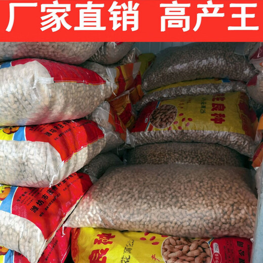 Оригинальные семена арахиса, новый сорт Академии сельскохозяйственных наук, тонкая скорлупа, очищенные вручную семена арахиса, крупнозернистые оригинальные семена, оригинальные семена Huayu № 25 в скорлупе, пробная посадка 5 семян.