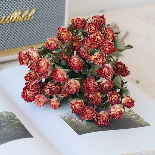 Dried flower multi-headed roses air-dried handmade flowers real flowers graduation photo living room decoration ins home furnishings ins style starry bubbles 35 flowers