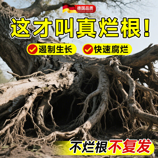 Powerful big tree root rot agent, special for removing big trees, one drop of dead tree king, rotten tree root removal, bamboo root rot agent powder, powerful root rot agent 250ml *2 bottles