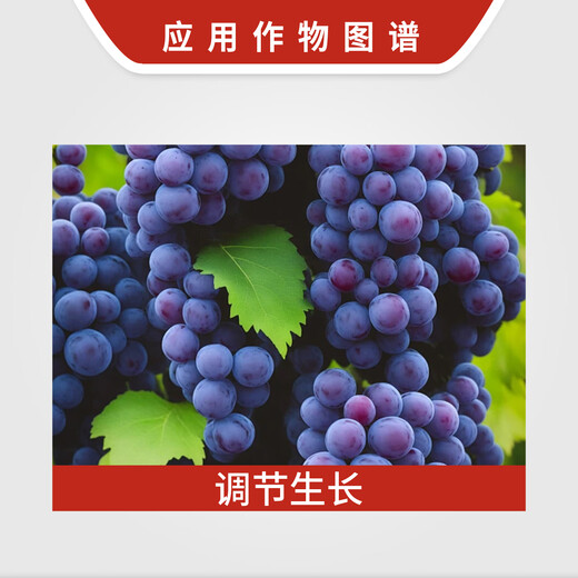 Green bud cyanamide grape accelerating bud break agent early germination cyanamide ammonium hydrogen regulator growth regulator 250ml (Cui bud)
