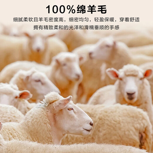 Bosssunwen 100% sheep wool recommended for spring business casual skin-friendly soft contrast striped round neck men's wool sweater black M