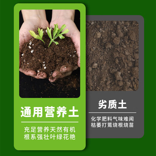 Lima universal nutritional soil for flower cultivation and flower fertilizer planting soil flower soil fertilizer vegetable soil potted green plant special soil 50L