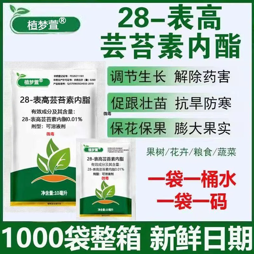28 Brassinolide plant growth regulator for rooting, flower preservation, fruit preservation, and yield increase agricultural use Brassinolide 10ml 500 bags wholesale price