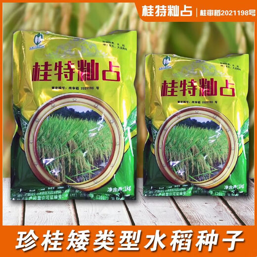 Gui Chao Рисовая рисовая лапша Специальный рис с датчиком температуры Тип Indica Обычный сорт риса Guite Indica Рисовые семена Круглый тип Guite Indica Рисовые семена 1 пакетик 2Jin Jin, равный 0,5 кг/мешок