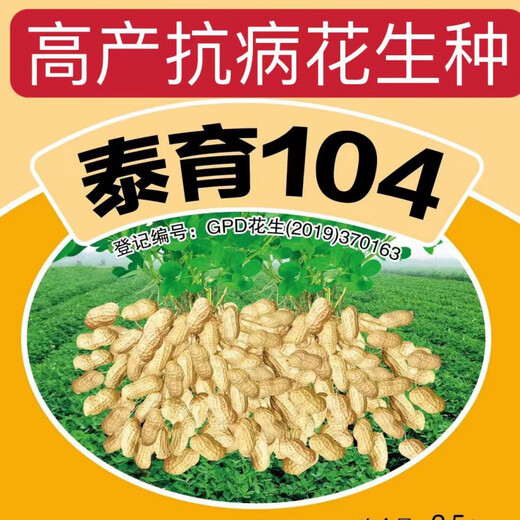 Оригинальные семена арахиса, новый сорт Академии сельскохозяйственных наук, тонкая скорлупа, очищенные вручную семена арахиса, крупнозернистые оригинальные семена, оригинальные семена Huayu № 25 в скорлупе, пробная посадка 5 семян.