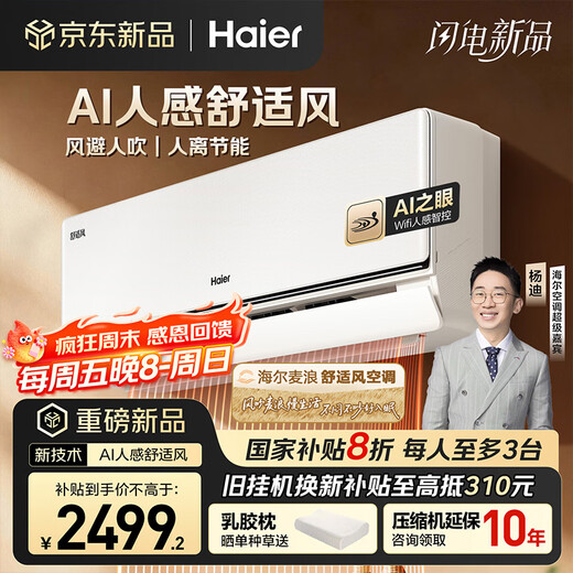 海尔空调 麦浪舒适风 大1匹 一级能效变频 冷暖两用 卧室空调挂机 国家补贴 以旧换新 KFR-26GW/E2-1