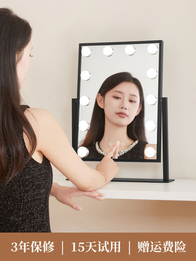 Desktop makeup mirror with light LED high-definition makeup mirror smart touch special makeup artist mirror beauty mirror white mirror 25*30CM plug-in model
