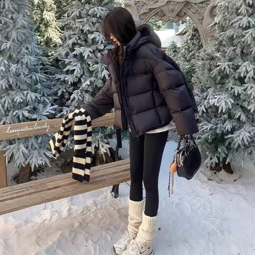 Woodpecker (TUCANO) down jacket for women, short, small, 2025 new winter, great-looking, popular winter clothing, thickened white duck down, matt gray, high loft duck down, M 125-145Jin Jin is equal to 0.5 kg