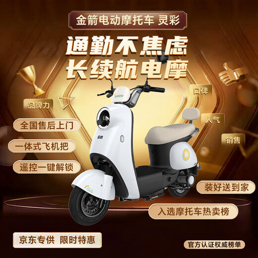 Golden Arrow Electric Motorcycle Popular new product Lingcai 60V20AH lead-acid battery long life 800W high power one-click start smart pedal electric motorcycle building block blue