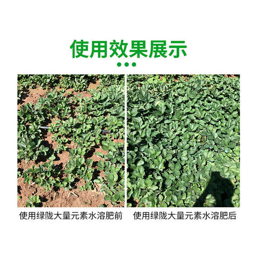 Green Long Nitrogen, Phosphorus and Potassium Balance High Potassium Rooting Water-soluble Fertilizer Large Element Water-soluble Fertilizer Nutrient Fertilizer 20kg Large Element High Nitrogen Type 20kg