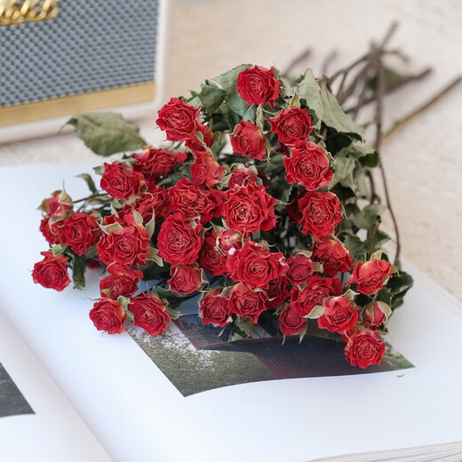 Dried flower multi-headed roses air-dried handmade flowers real flowers graduation photo living room decoration ins home furnishings ins style starry bubbles 35 flowers