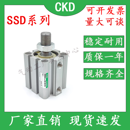 CKD cylinder SSD/SSD2-KL-12/16/20/25/32/40/50/63/80/100-10 SSD2-KL-12-5-N-W1