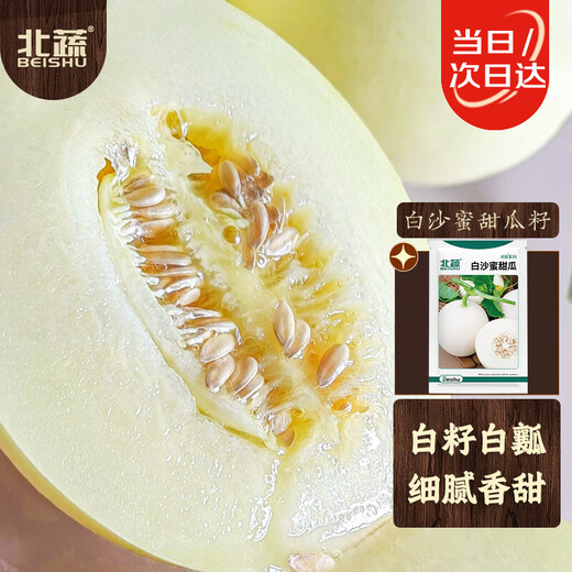 Beishu melon seed seedlings rock sugar heart-shaped white-skinned melon melon fruit seeds white sand honey melon seeds 150 capsules
