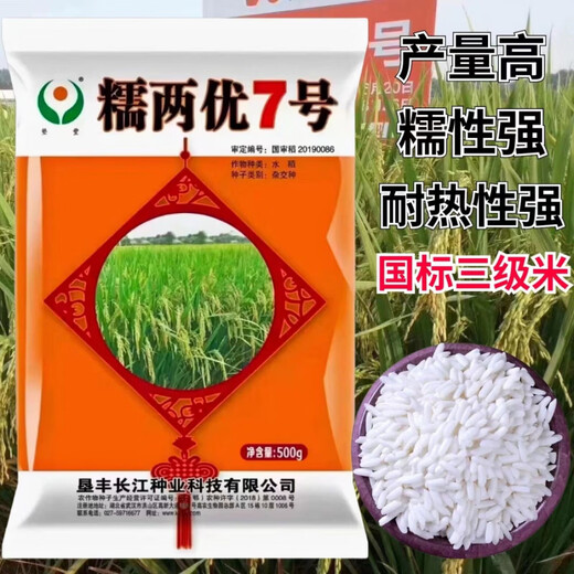 Long-grain glutinous rice seed Nuoliangyou No. 7 is suitable for mid-season rice cultivation in the middle and lower reaches of the Yangtze River. Nuoliangyou No. 7 500g/bag 500g/bag