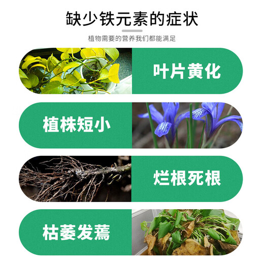 尚洋硫酸亚铁500g防黄叶园艺盆栽养花植物发财树通用型多肉花肥料 通用硫酸亚铁500g+德沃多柠檬酸500g
