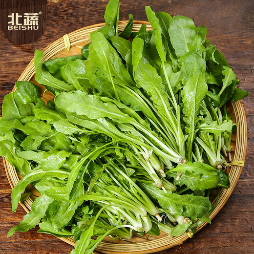 Beishu shepherd's purse seed seedlings farmhouse big leaf sowing wild vegetable seeds in all seasons farmhouse shepherd's purse seeds 10g about 50,000 grains