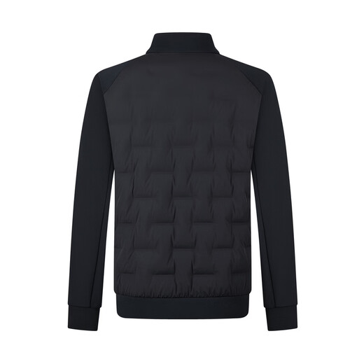 Qipai Мужской золотой свежий пуховик с воротником-стойкой, зима 2025, белый утиный пух, теплая микроэластичная куртка против морщин, мужской темно-синий RDS Responsible Down Tag, Fresh Down S 165/84A