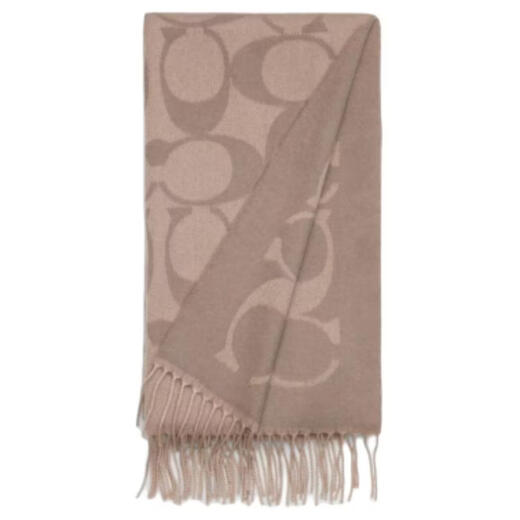 COACH Brand Design Cashmere Wool Scarf Unisex Couple Style Gray Default F