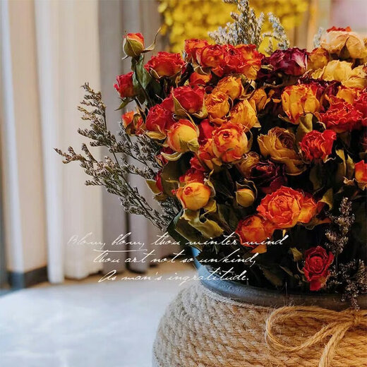 Dried flower multi-headed roses air-dried handmade flowers real flowers graduation photo living room decoration ins home furnishings ins style starry bubbles 35 flowers