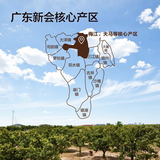 Tong Ren Tang (TRT) authentic Xinhui 10 old tangerine peels 105g Guangdong Xinhui Dahongpi 10 dried tangerine peels elder gift health tea