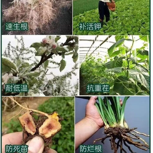 Mineral source potassium fulvic acid raw powder humic acid foliar fertilizer organic fertilizer rooting and seedling water-soluble fertilizer express chlorobromoisocyanuric acid 25kg barrel to villages and towns