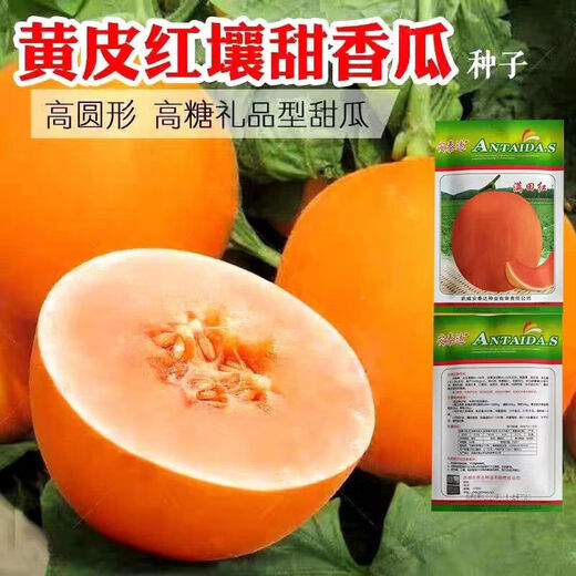Red-Fleshed Sabai Melon Seeds, Golden Honeydew Melon Seeds, Elizabeth Melon Seeds, Hami Melon Fruit Seeds, Four Seasons, White-Fleshed Sabai Melon Seeds + Red-Fleshed Sabai Melon Seeds, 20 capsules each