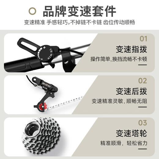 Permanent folding bicycle for adults with variable speed and double shock absorption, ultra-light portable leisure small wheel bicycle for work riding, male and female students, Sandao-Black, magnesium alloy wheels + double shock absorption, 20 inches, suitable for 155-175cm, variable speed model, multi-speed all-around