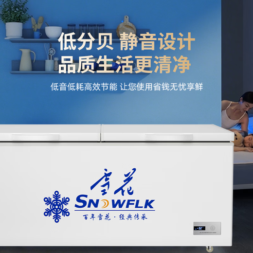 雪花冰柜商用大容量全冷冻家用卧式冷藏冷冻两用单温双温冷柜雪糕展示柜速冻柜 568双温ultra数显版|一级节能|减霜95%