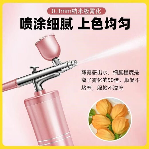 Fantasy colored pink plain cake airbrush airbrush wireless chocolate handheld gun longevity peach color sandblasting machine baking new black simple decoration 78