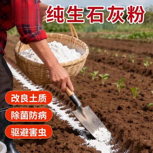 Yusenyi Vegetable Growing Quicklime Powder Disinfection Insecticide and Repellent Desiccant Improve Water Quality Improve Soil Mildew and Disease Prevention Quicklime Powder 10Jin Jin is equal to 0.5kg