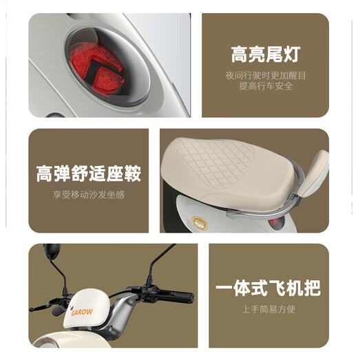 Golden Arrow Electric Motorcycle Popular new product Lingcai 60V20AH lead-acid battery long life 800W high power one-click start smart pedal electric motorcycle building block blue