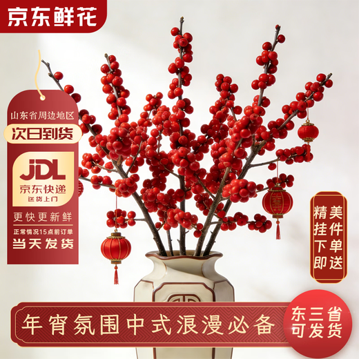 Jingdong Flowers North American Holly 5 branches A grade 50-60cm New Year's Eve flowers for festivals Spring Festival flowers base straight from the source