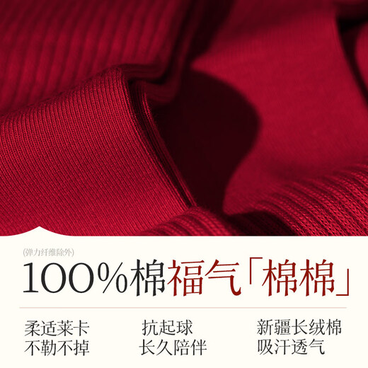 Zhenxing Footwear (ZJZUE) Zodiac Year Red Socks Women's Cotton Autumn and Winter 2026 Year of the Horse New Year's Gift Couple Wedding Lace Medium Socks Gift Box 100% Cotton Design Red Socks Gift Box Pendant + Double Ruffles + Black Bow One Size (35-40 Codes) High-Level Red Ritual Sense