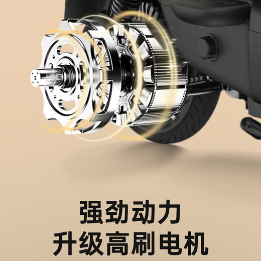 Golden Arrow Electric Motorcycle Popular new product Lingcai 60V20AH lead-acid battery long life 800W high power one-click start smart pedal electric motorcycle building block blue