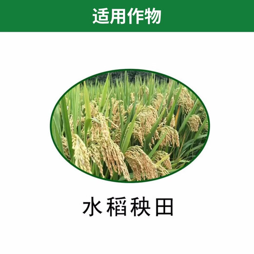 1% indolebutyric acid S-induced plant growth regulator for rice seedlings to promote rooting 500g*1 bottle