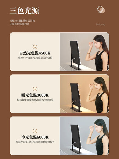 Desktop makeup mirror with light LED high-definition makeup mirror smart touch special makeup artist mirror beauty mirror white mirror 25*30CM plug-in model