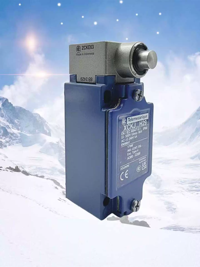 Imported Schneider travel limit switch XCKJ105431054110513511108167H29C XCKJ167H29C
