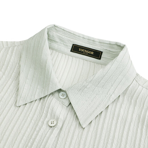 YOUNGOR (YOUNGOR) shirt women's 2026 spring and summer young women's long-sleeved shirt silk plain shirt store same style light green YLFC131003SQF 36 (160/84A)