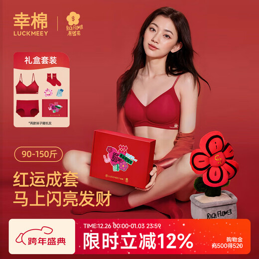 Xingmian Rich Red Underwear Set Invisible Seamless Wedding Veil Bridal Gift Box Women's Underwear Bra Zodiac Year