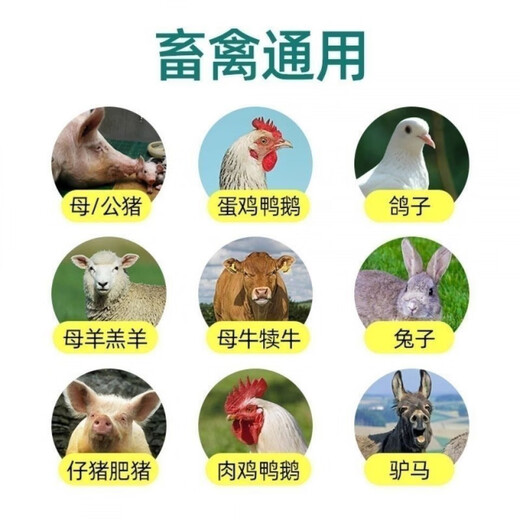 OIMG veterinary livestock and poultry multi-vitamin powder pigs, horses, cattle, sheep, chickens, ducks and geese feed additives premixed feed 10 bags 40 yuan