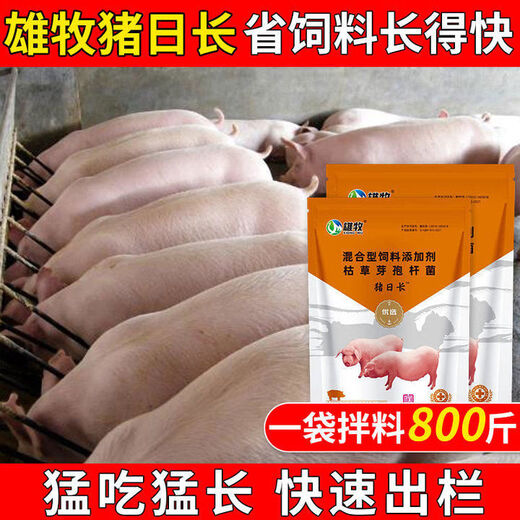 Pig day long pig fattening pig feed additives for fattening piglets piglet fattening agent pig premix buy 50 get 15 shots 65 bags