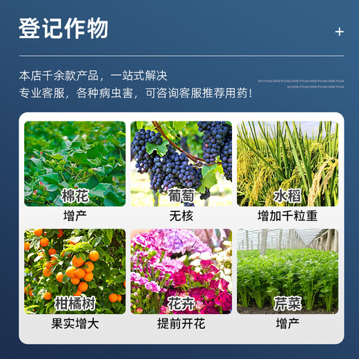 Sanliu Shanghai Tongrui 3% gibberellic acid gibberellin 920 fruit and vegetable weight-increasing seedlings and yield-increasing plant growth regulator 100ml/bottle